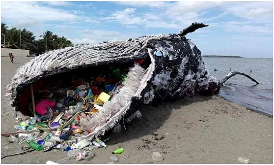 Tento způsob, jak se vyhnout nebezpečí spojeným s požitím "mikroplastů" používají Číňané každý den! 